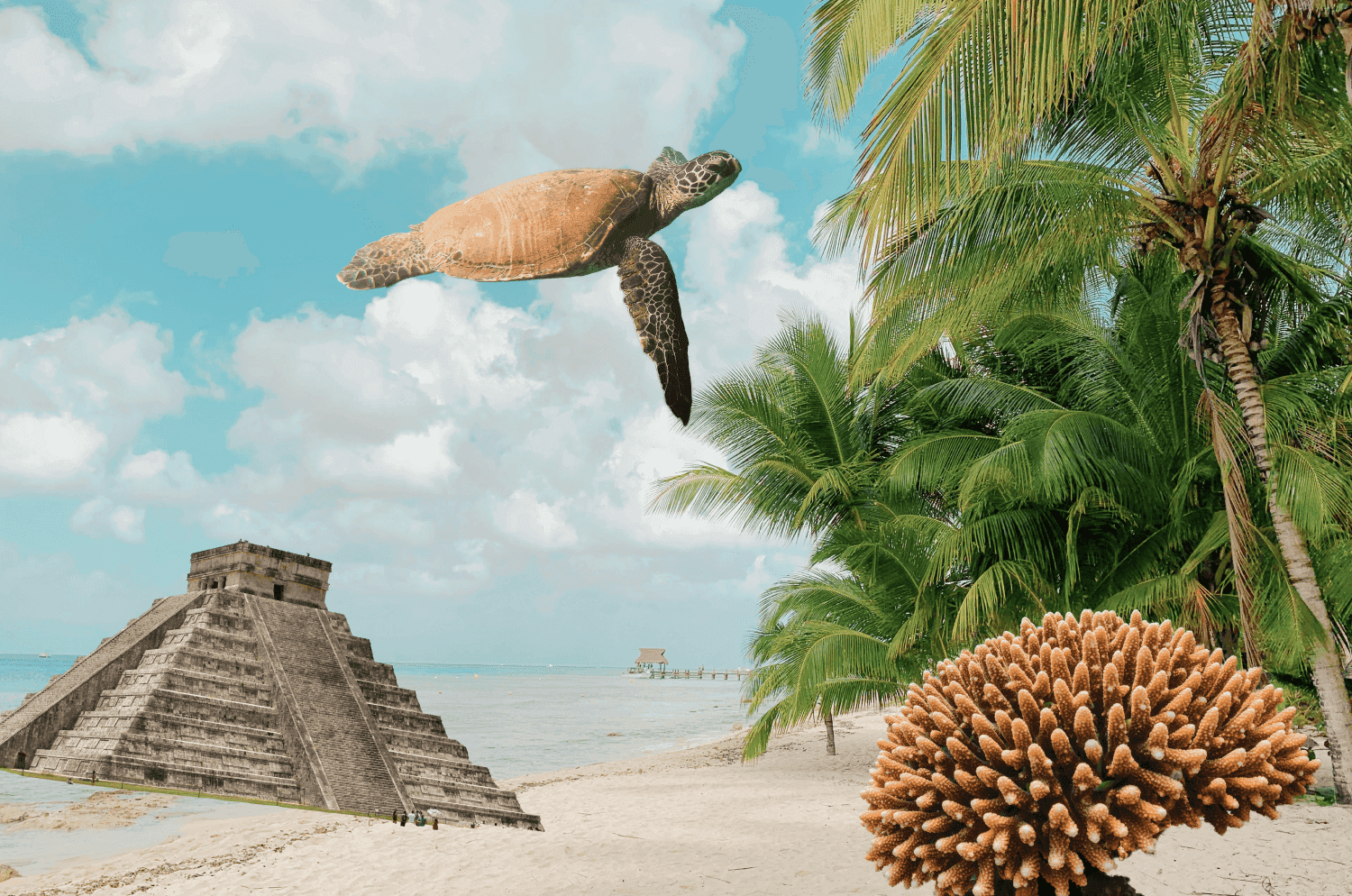 Editorial image