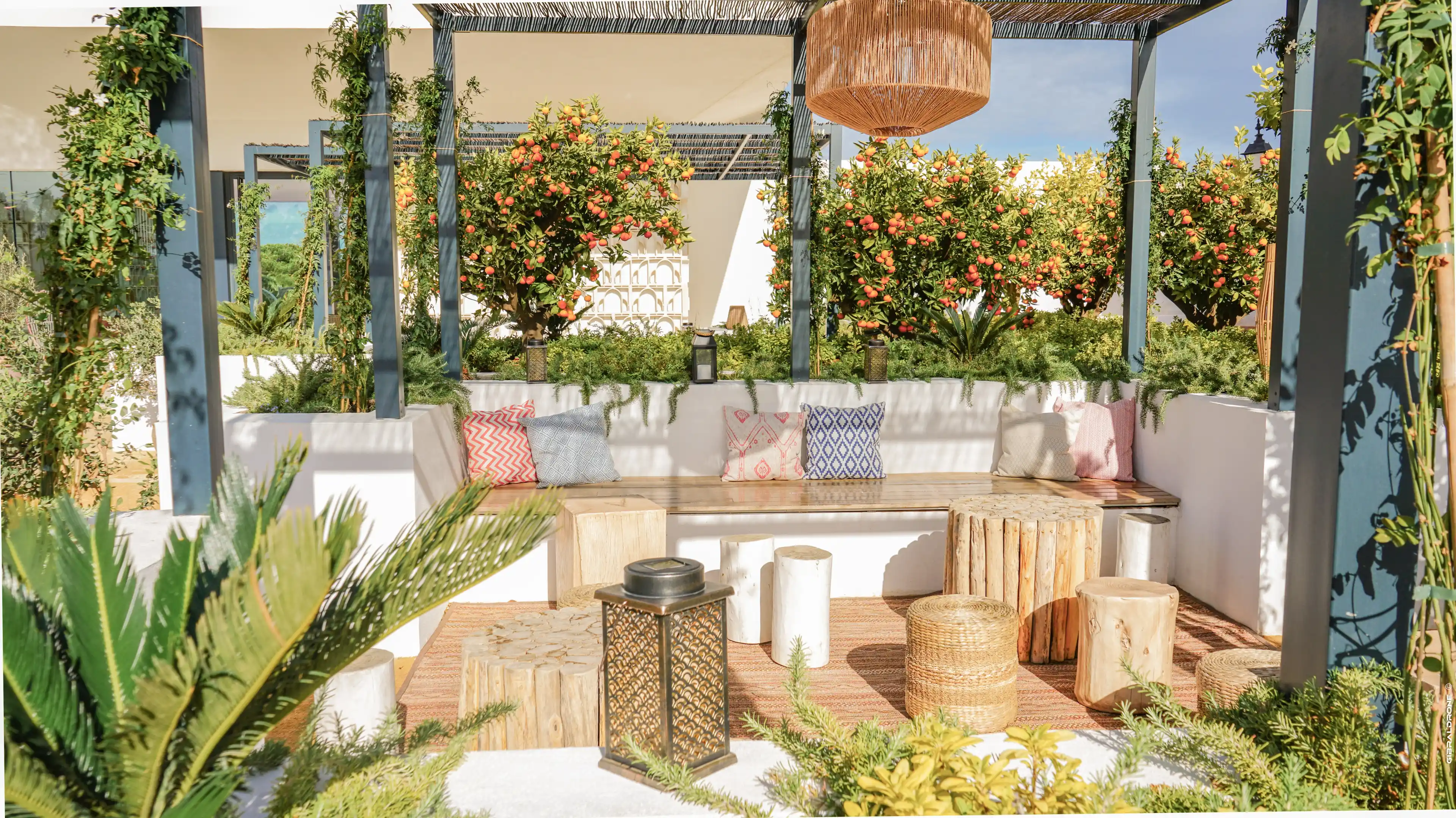 Rocio Garden  image