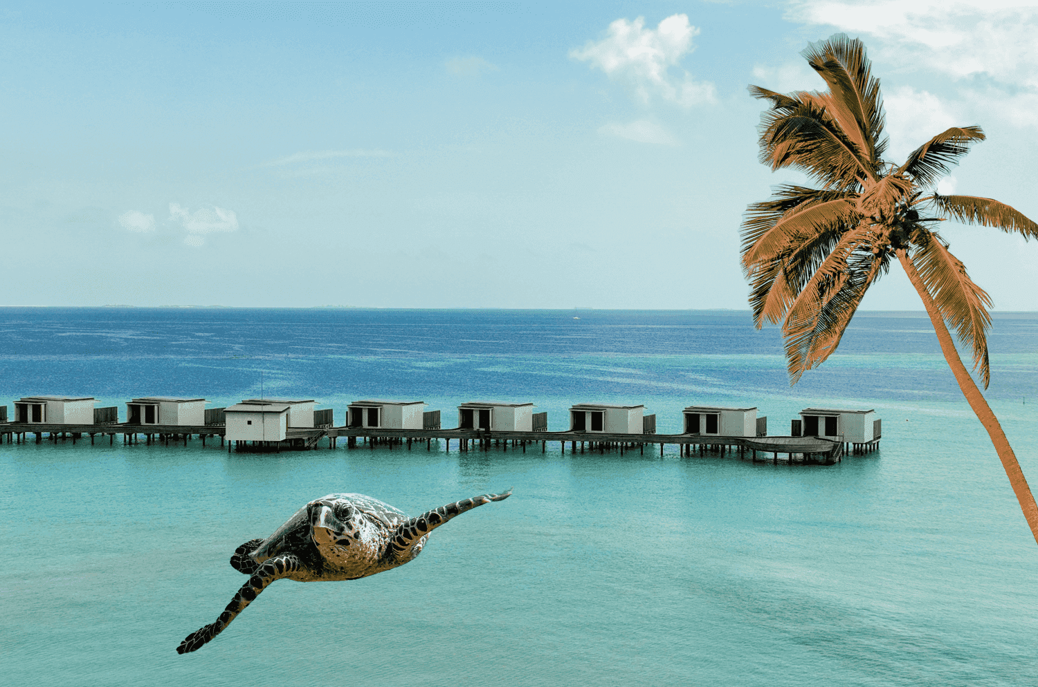 Editorial image