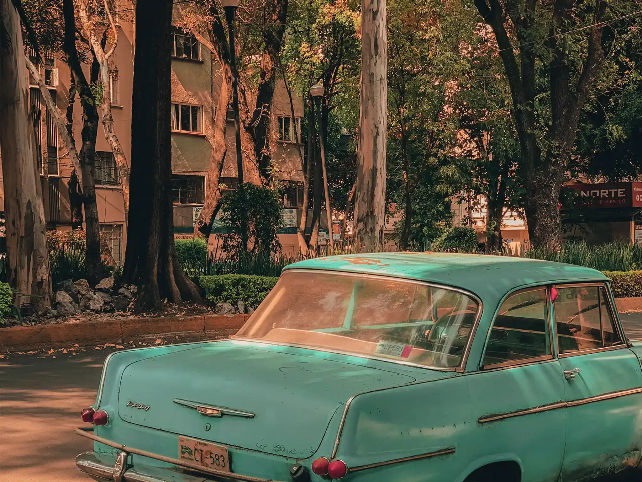 La Condesa